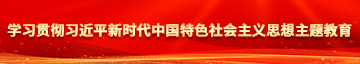 骚逼女人的逼逼视频学习贯彻习近平新时代中国特色社会主义思想主题教育